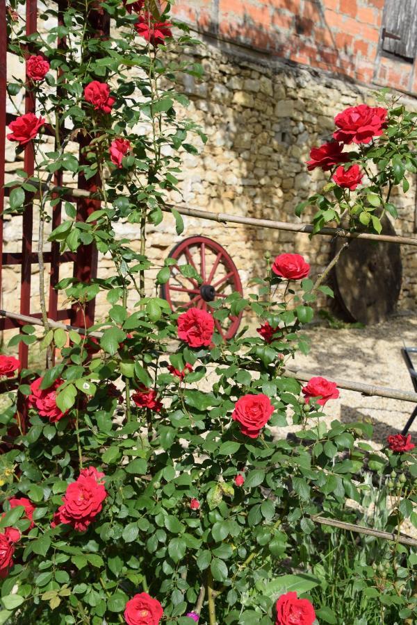 La Chabotine Bed and Breakfast Allas-Les-Mines Exterior foto